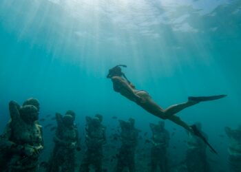 freediving in southeast asia