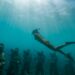 freediving in southeast asia