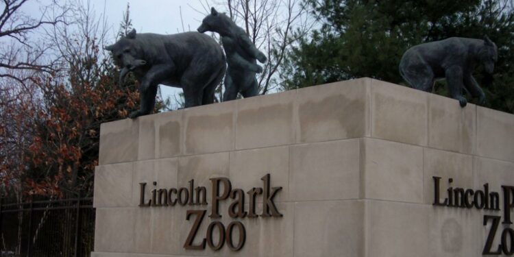free things to do in Chicago_Lincoln Park Zoo