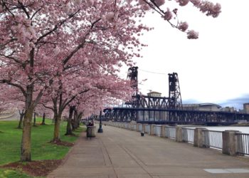 Places To Visit In Portland
