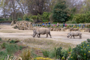 places to visit in Dublin_Zoo