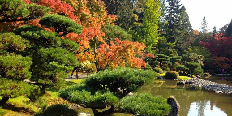 Free things to do in Seattle_arboretum