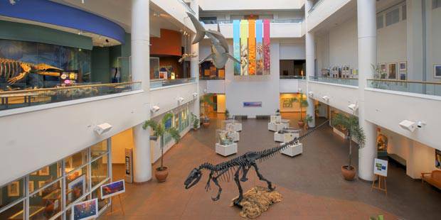 places to visit in San Diego_Natural History