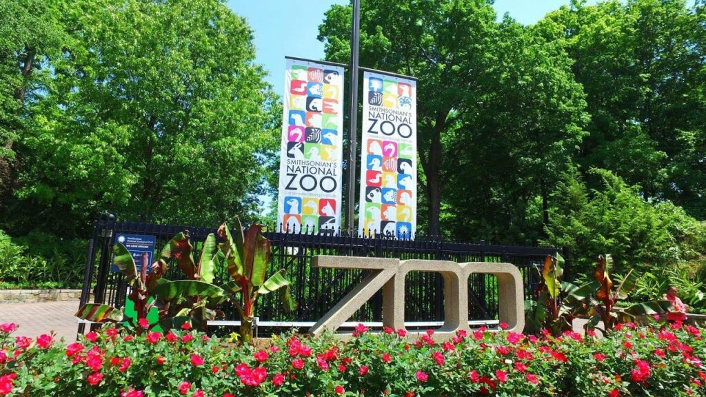 places to visit in Washington DC_National Zoo