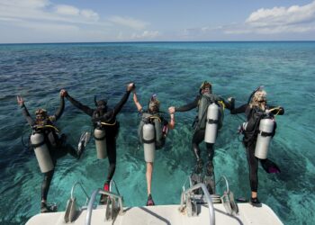 Scuba Diving During A Cruise Vacation