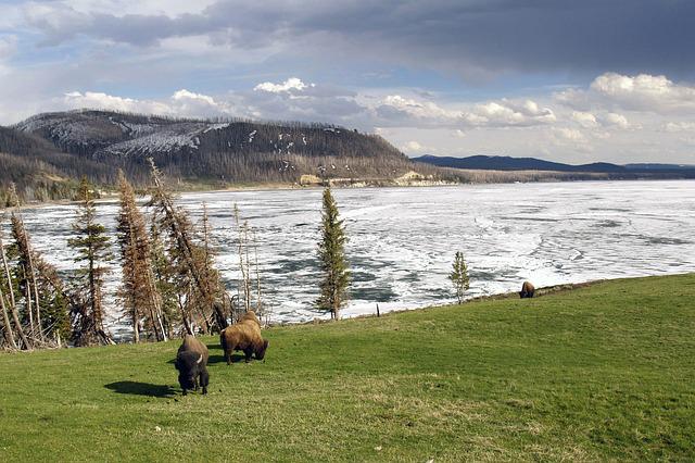 winter destinations in the usa_Yellowstone