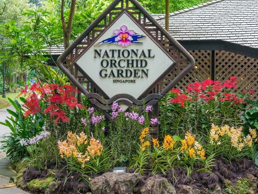 places to visit in singapore_orchid