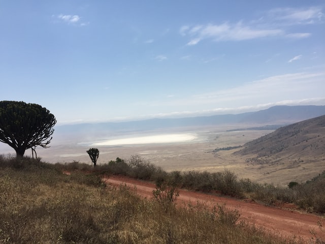 safari in Africa_Ngorongoro crater