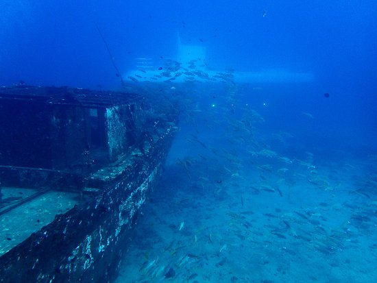 things to do in Maui_Carthaginian wreck