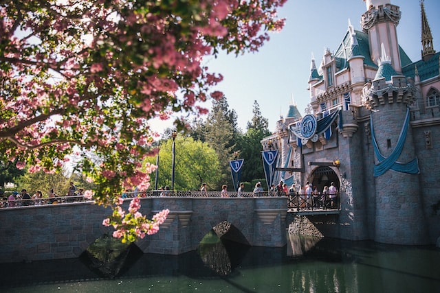 Disneyland_castle