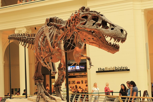 Places to visit in Chicago_T Rex