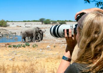African Safari Photography: Female photographer capturing African elephants