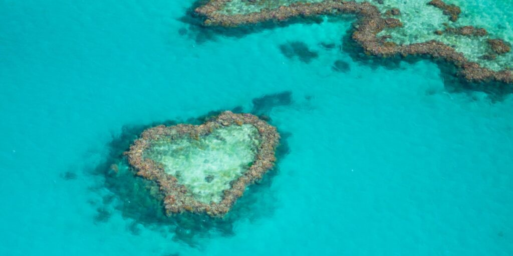 Aerial view of Heart Reef, Great Barrier Reef