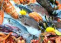 Assorted Best Fresh Seafood and Fish on Crushed Ice