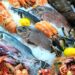 Assorted Best Fresh Seafood and Fish on Crushed Ice