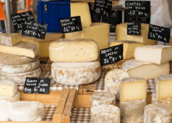 Cheese Tour: Sampling the Best Cheese in France