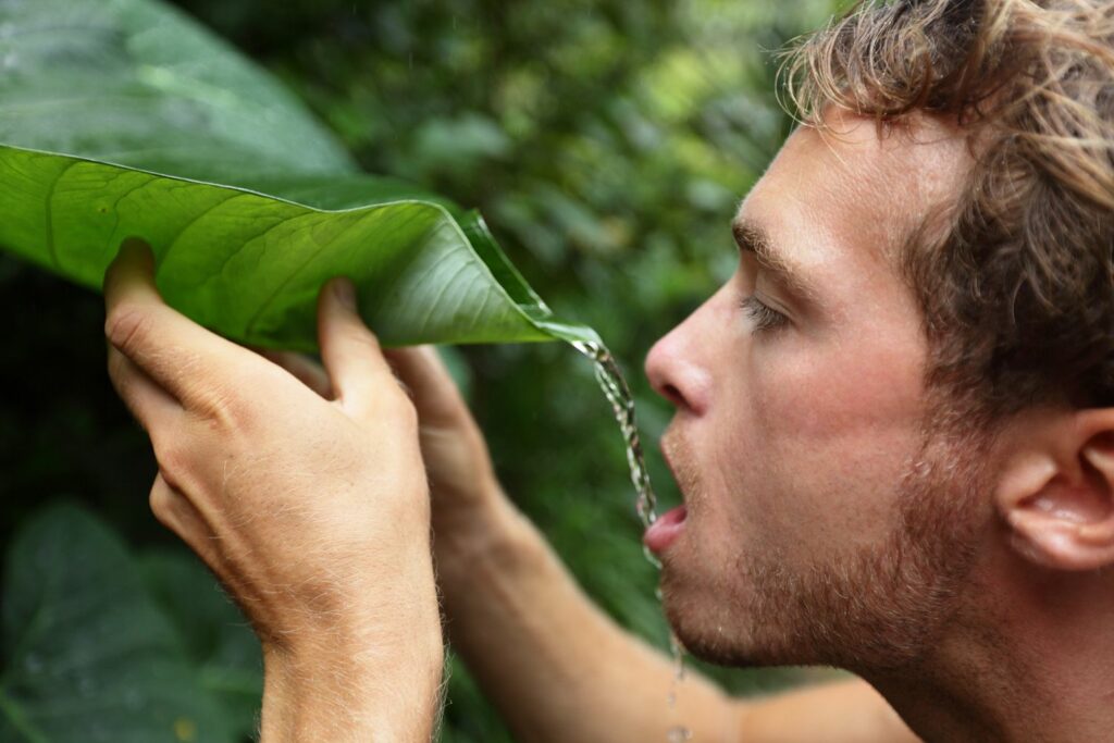 Wilderness survival: Drinking water from a leaf