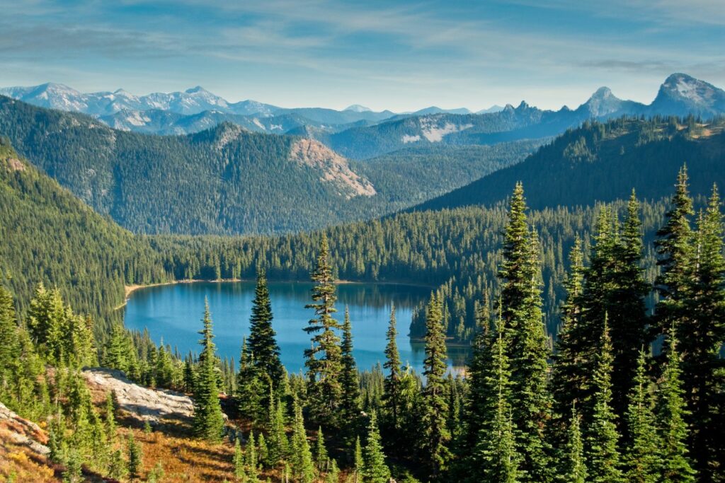 Landscape view of a park with luscious pine trees, mountains, and lake in the United States for hiking and camping (Source: Canva)