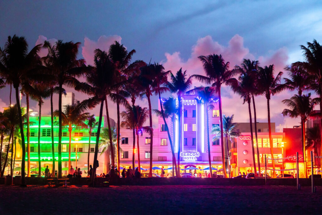 Miami Beach city skyline with palm trees at dusk