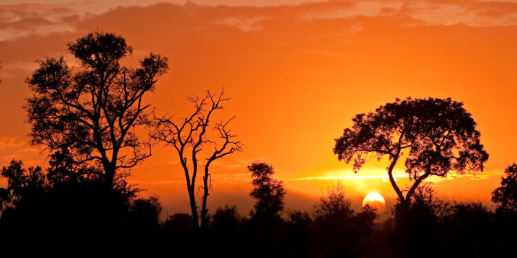 Kruger national park - attractions in south africa