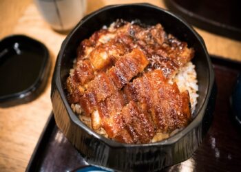 Unagi Don (Hitsumabushi eel) - Nagoya food