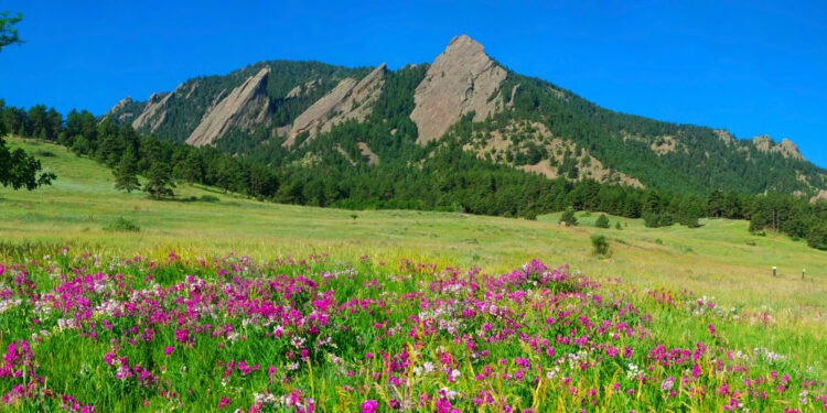 best parks in boulder colorado with foreground of sweet pea blossoms