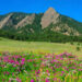 best parks in boulder colorado with foreground of sweet pea blossoms