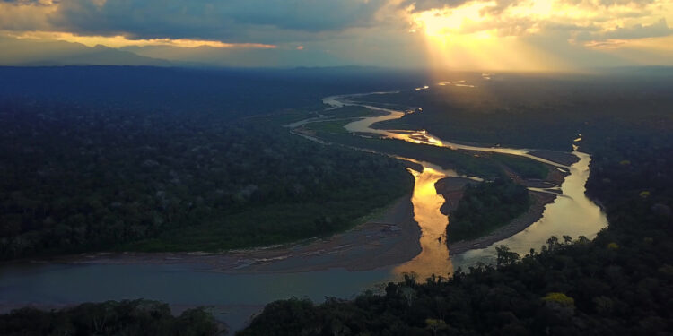 ecuador amazon guide to the lush forest surrounding the majestic amazon river