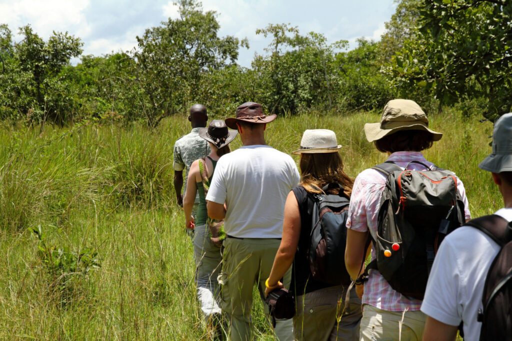 group of tourists hiking with a purpose in ziwa rhino sanctuary