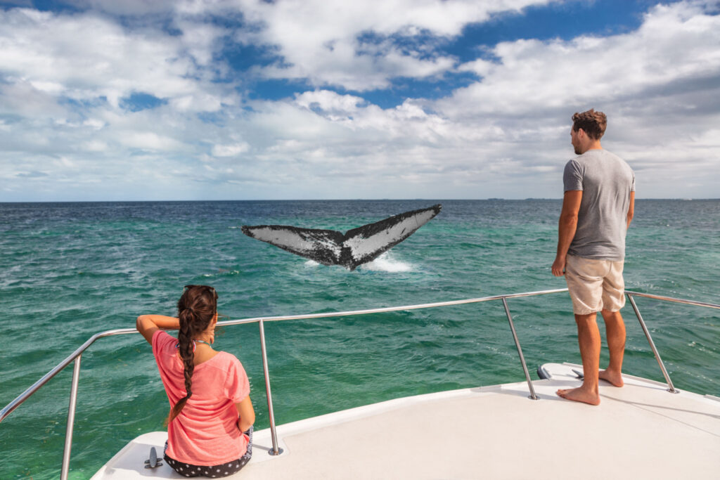 couples aboard a themed cruises ship, enjoying the thrilling whale watching