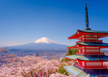 iconic sights while travelling to japan mount fuji and chureito red pagoda with sakura