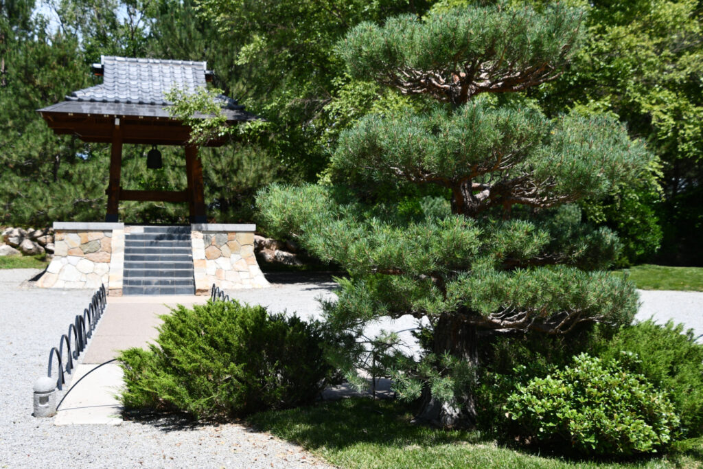 japanese garden - explore the free beauty at abq biopark botanic garden