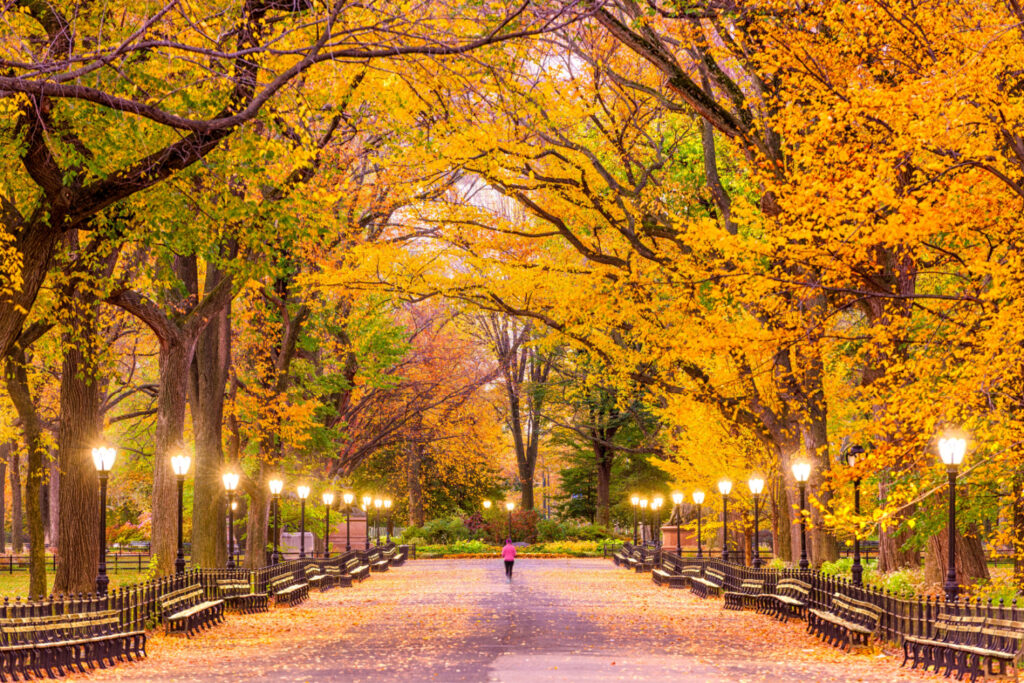 Central Park at The Mall in New York City during autumn