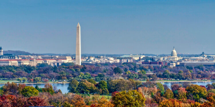 couple things to do in dc watching skyline with iconic landmarks and trees