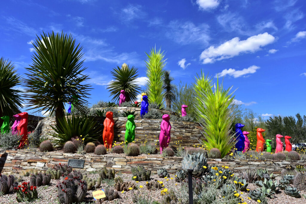 Desert landscape and artwork at entrance to Desert Botanical Gardens