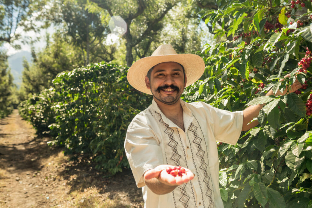 Joyful farmer displaying his freshly harvested Arabica coffee beans