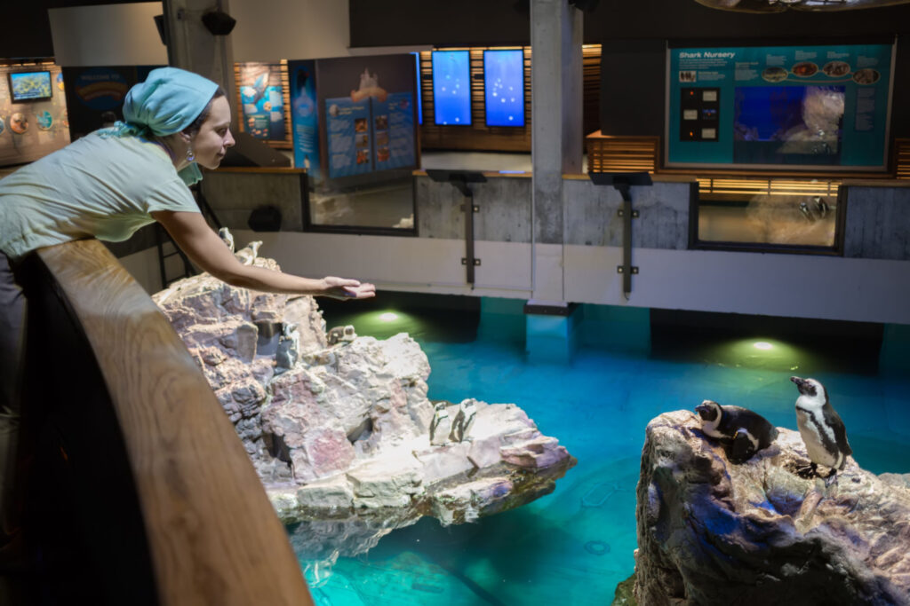 Woman enjoying free things to do in Boston at the New England Aquarium