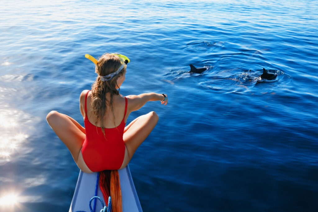 young girl dolphin watching on a boat