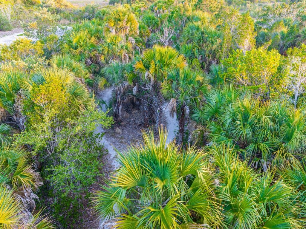 Exploring nature trails is one of the best things to do in Cape Coral