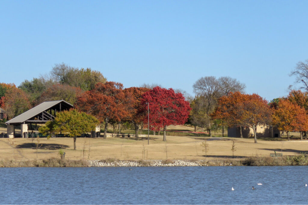 View of Bob Woodruff Park and the lake in fall