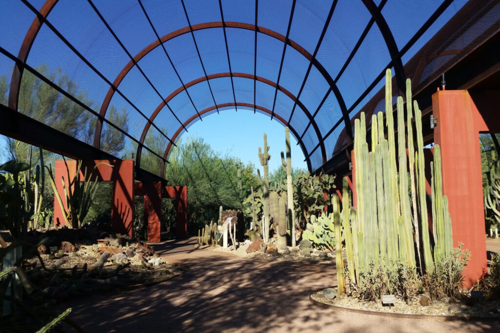Desert Botanical Garden Phoenix, Arizona