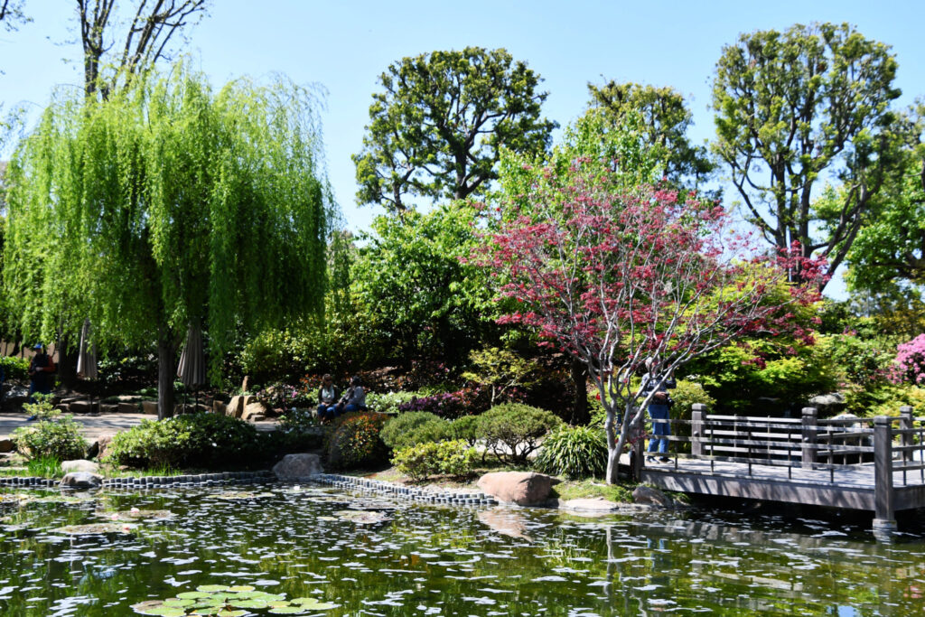 Earl Burns Miller Japanese Garden