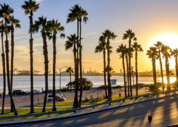 Coastal road sunset in Long Beach, California