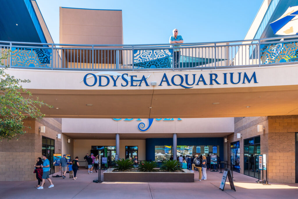 Odysea Aquarium in Scottsdale, Arizona