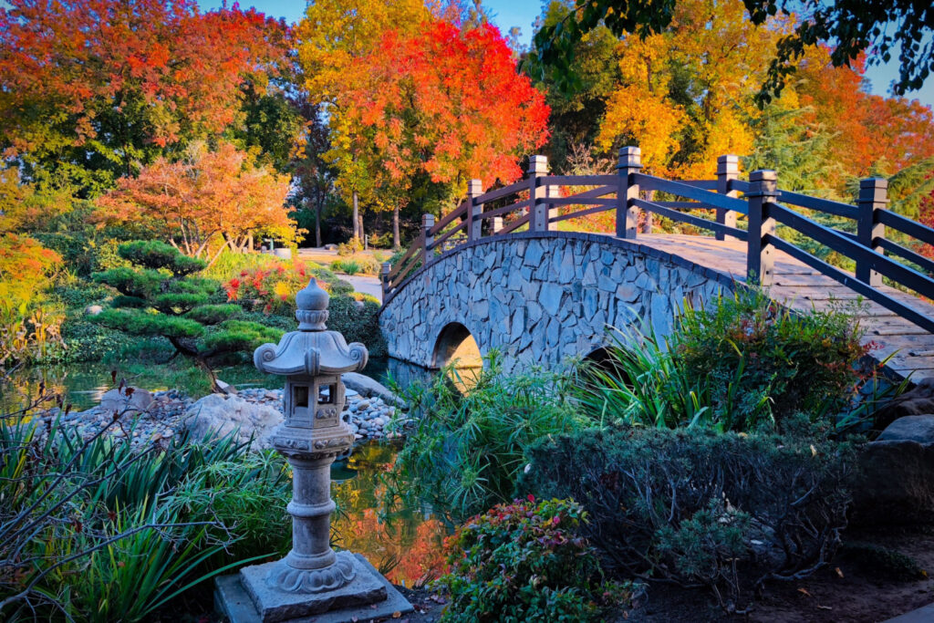 Autumn at Shinzen Friendship Garden, Fresno