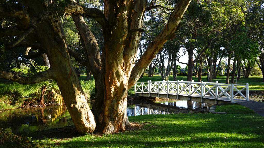 Lily Pond Bridge in Centennial Park, Sydney